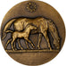 Frankreich, Medaille, Chevaux, Elevage Reproduction, Bronze, Bouchard, UNZ+