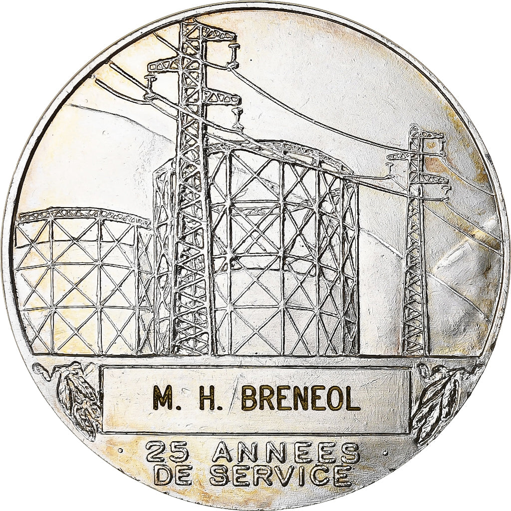 France, Medal, Électricité de France et gaz de France, Silvered bronze