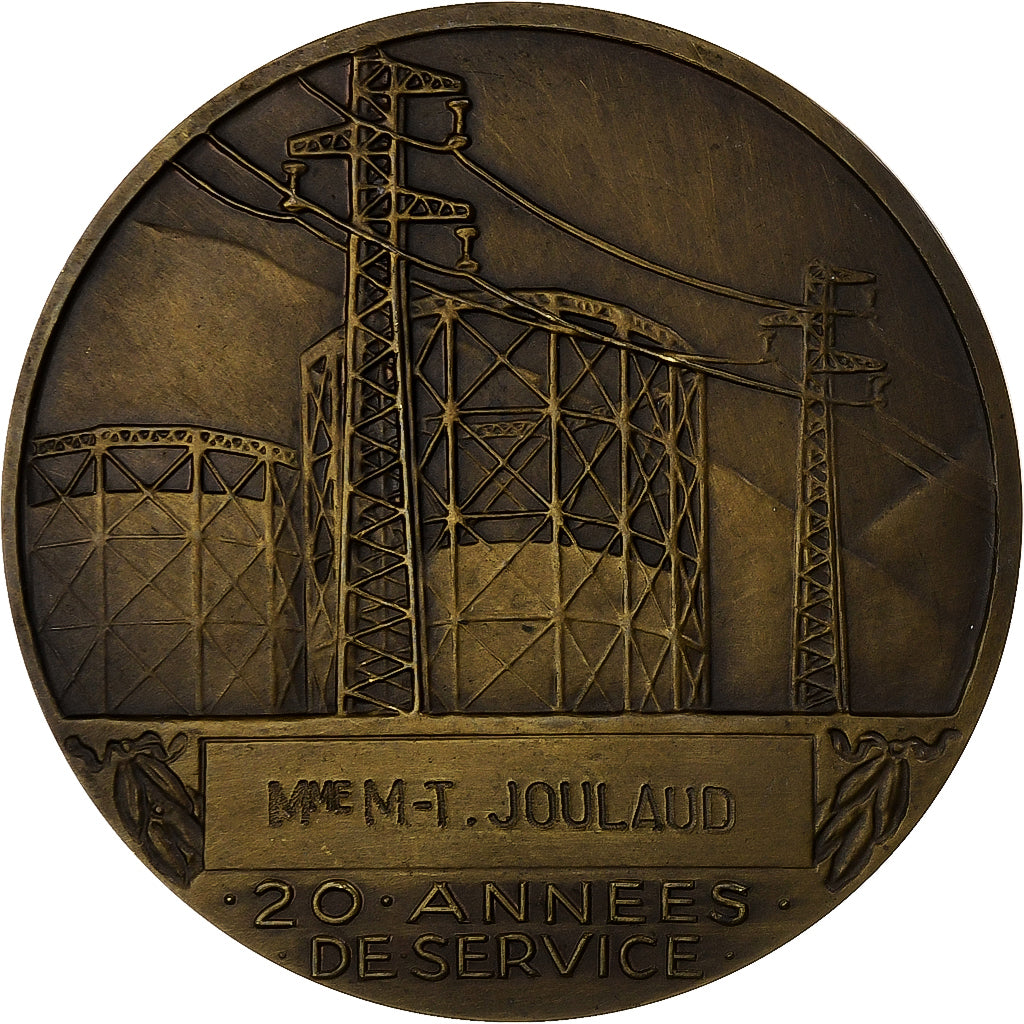 Francja, medal, Électricité de France et gaz de France, Brązowy, Dropsy