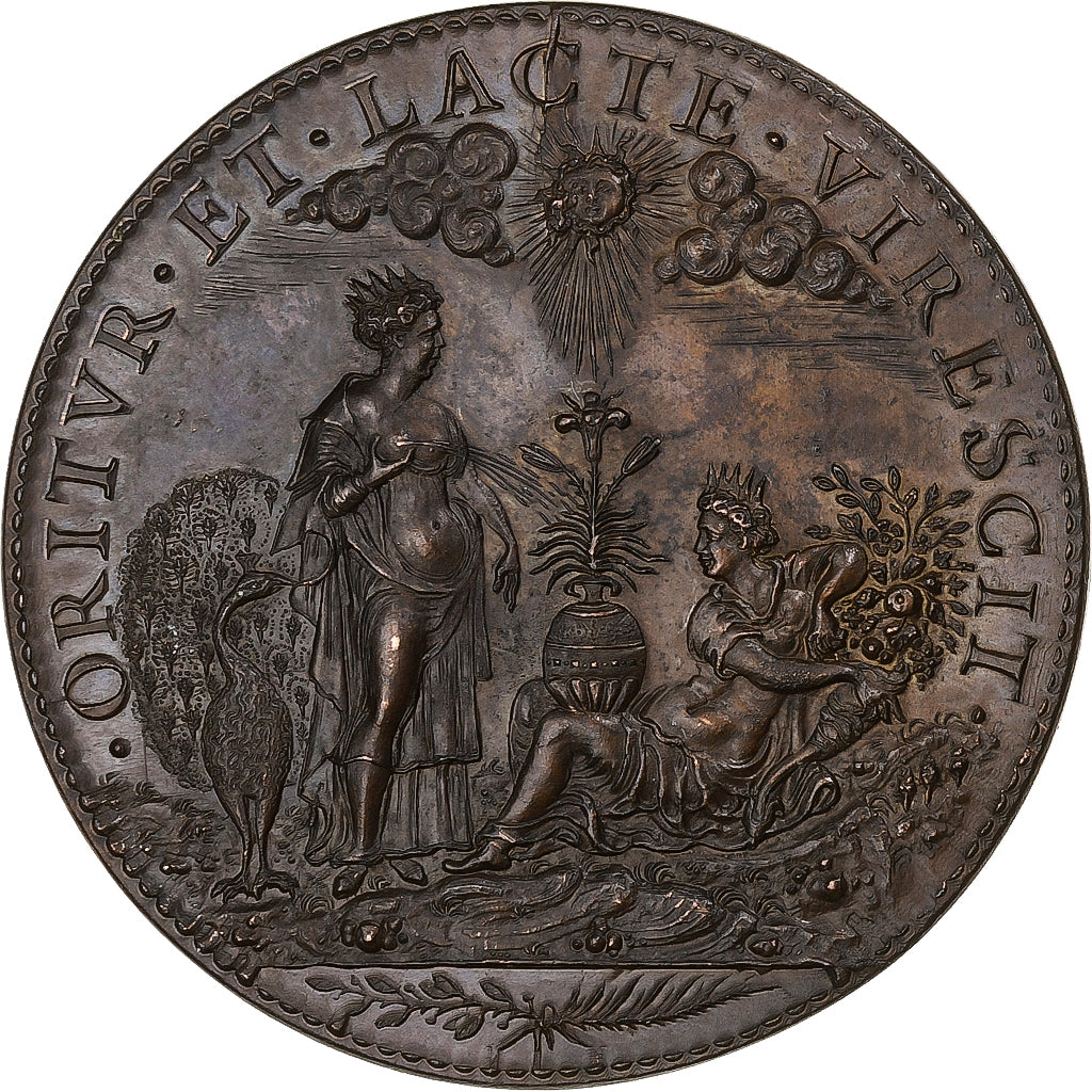 France, Medal, Henri IV, Junon et la Fortune, Bronze, Restrike, AU(55-58)