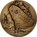 Belgium, Medal, La Belgique se Souviendra, Bronze, Georges Petit, MS(63)