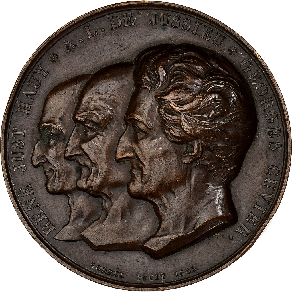 France, Medal, Dictionnaire Universel d'Histoire Naturelle, 1843, Copper
