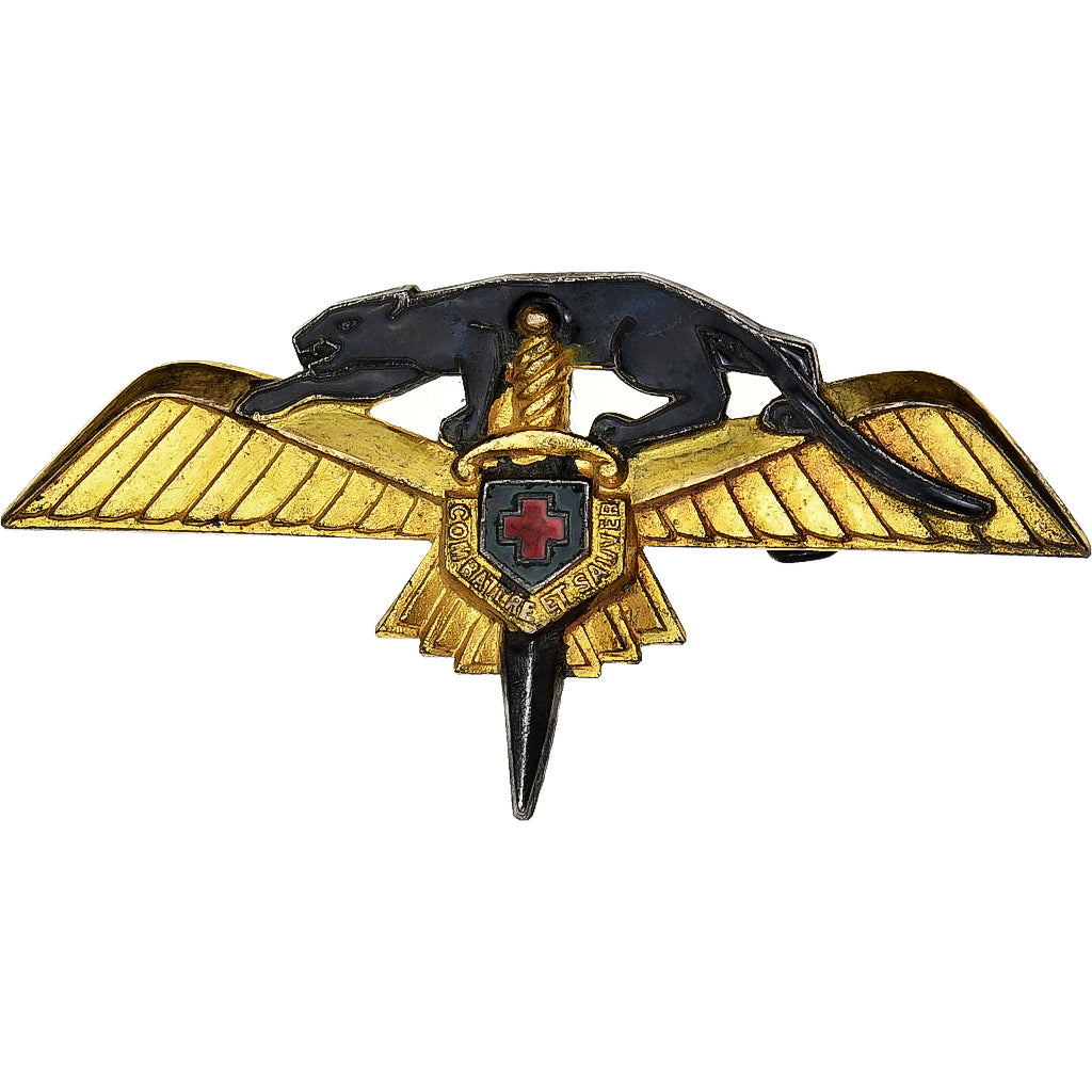 Frankrijk, Broche, Armée de l'air, Combattre et Sauver, Métal, Arthus