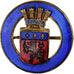 France, Broche, Ville de Lyon, Brass, Emaillée, AU(50-53)