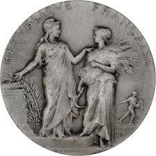 France, Médaille, Agriculture, Concours Hippique, Paris, 1913, Argent