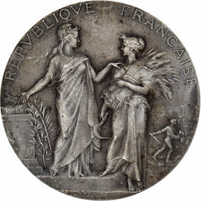France, Medal, Concours Régional Hippique de Nevers, 1902, Silver, Dubois.A