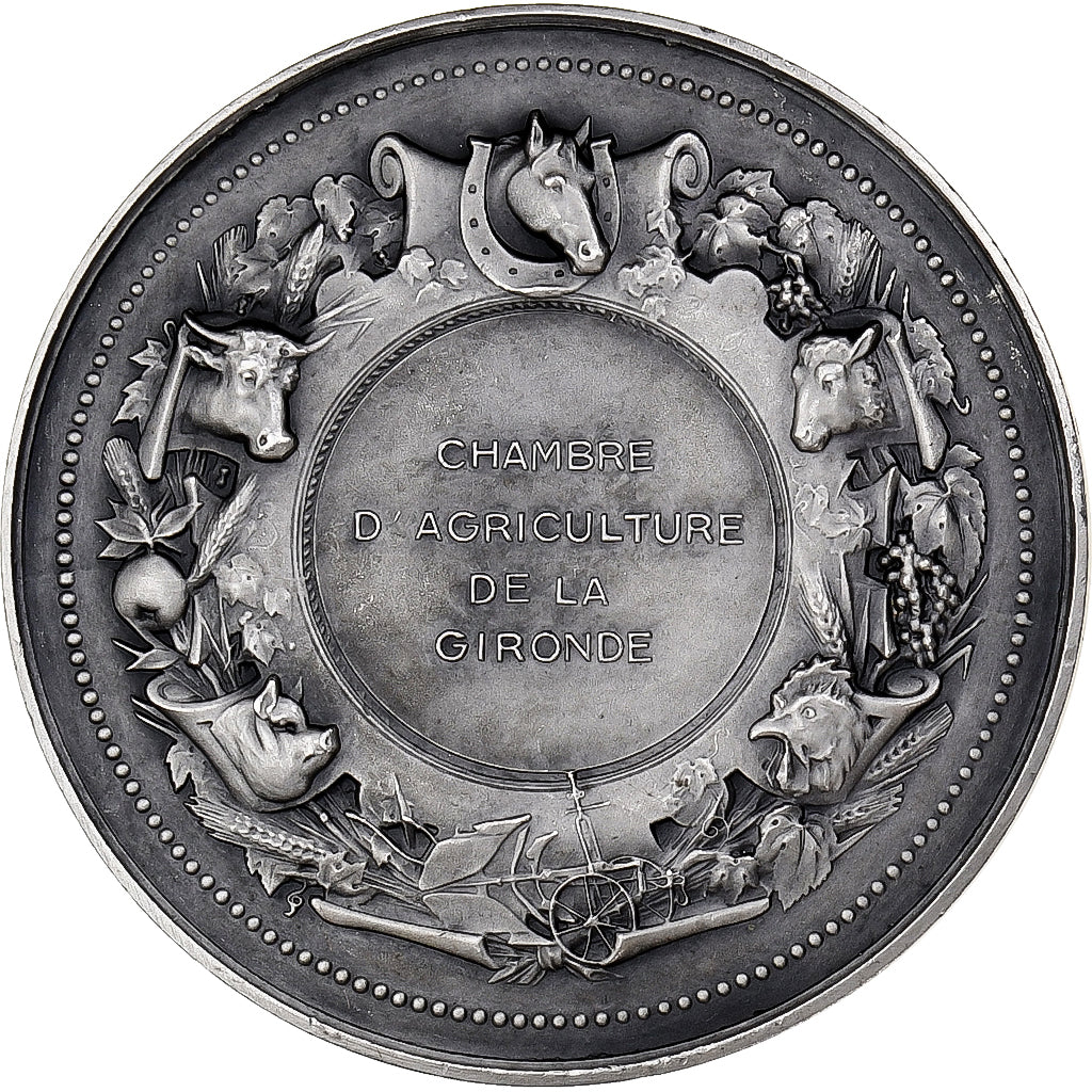 France, Médaille, Chambre d'Agriculture de Gironde, Bronze argenté, SPL+