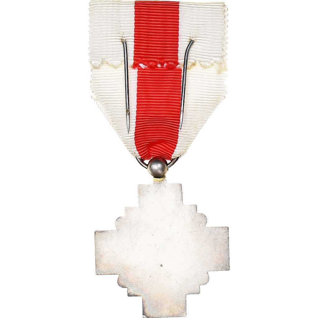Francia, Croix Rouge, medalla, Excellent Quality, Bronce plateado, 38