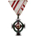 Austria, Croix Rouge, Medal, Uncirculated, Silvered bronze, 48 X 37
