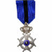 Belgium, Ordre de Léopold II, Medal, Excellent Quality, Silver, 42
