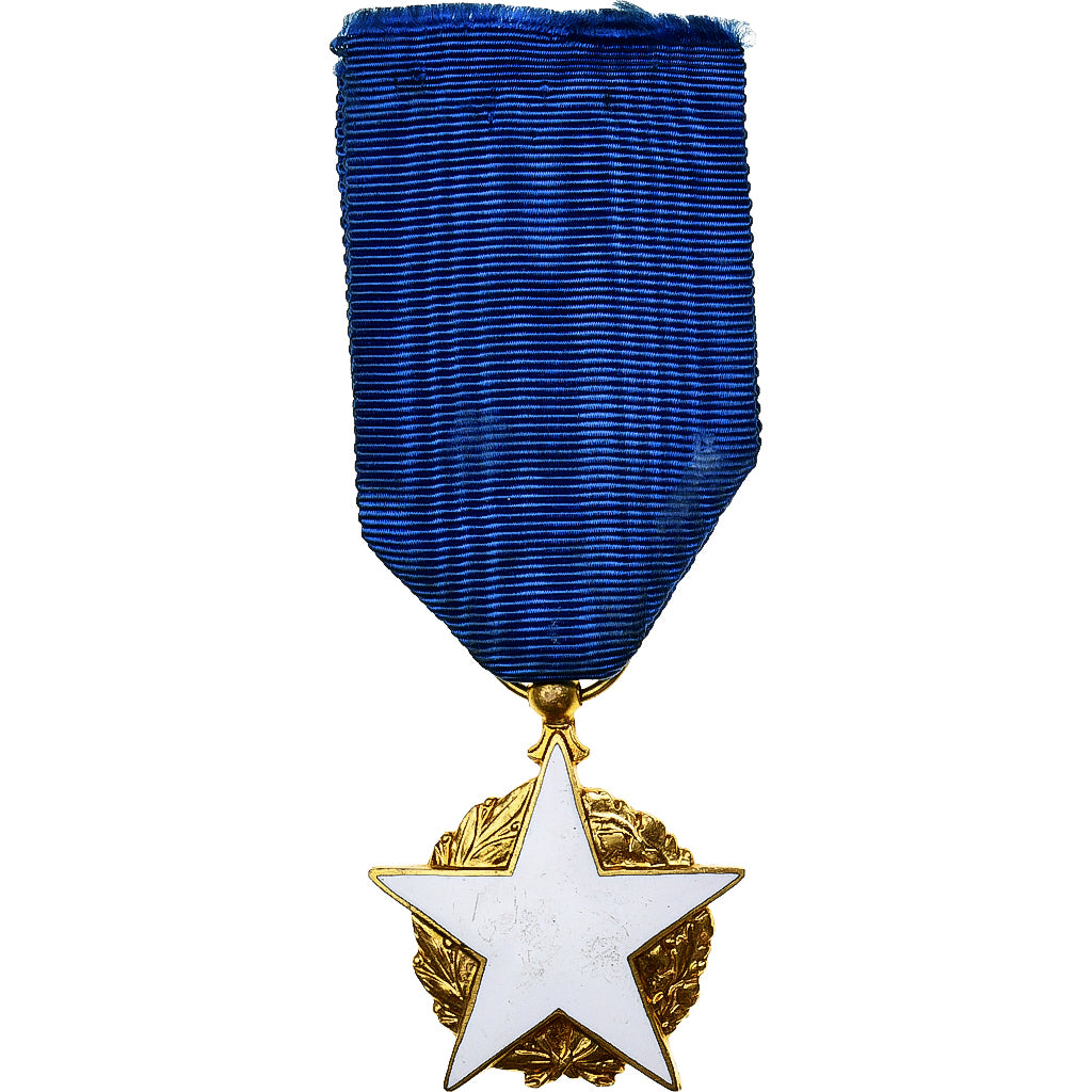 France, Blessés Civils, Medal, Excellent Quality, Gilt Bronze, 35