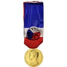 Frankrijk, Ministère du Travail et de la Sécurité Sociale, Medaille, 1968