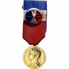 France, Honneur-Travail, République Française, Medal, 2001, Excellent Quality