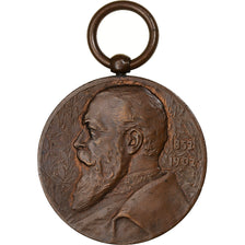 Germany, Medal, Friedrich von Baden, Bronze, AU(55-58)