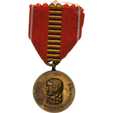 Romania, Croisade contre le communisme, Medal, 1941, Excellent Quality, Bronze