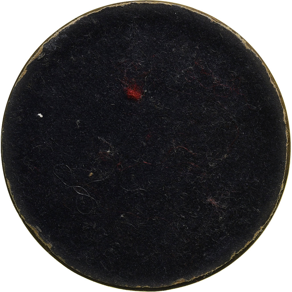 Stany Zjednoczone Ameryki, medal, Presse-Papier, Strategic Air Command