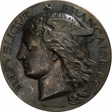 France, Medal, Exposition Universelle, Chevaline et Asine, 1889, Silver