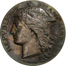 Francia, medalla, Exposition Universelle, Chevaline et Asine, 1889, Plata