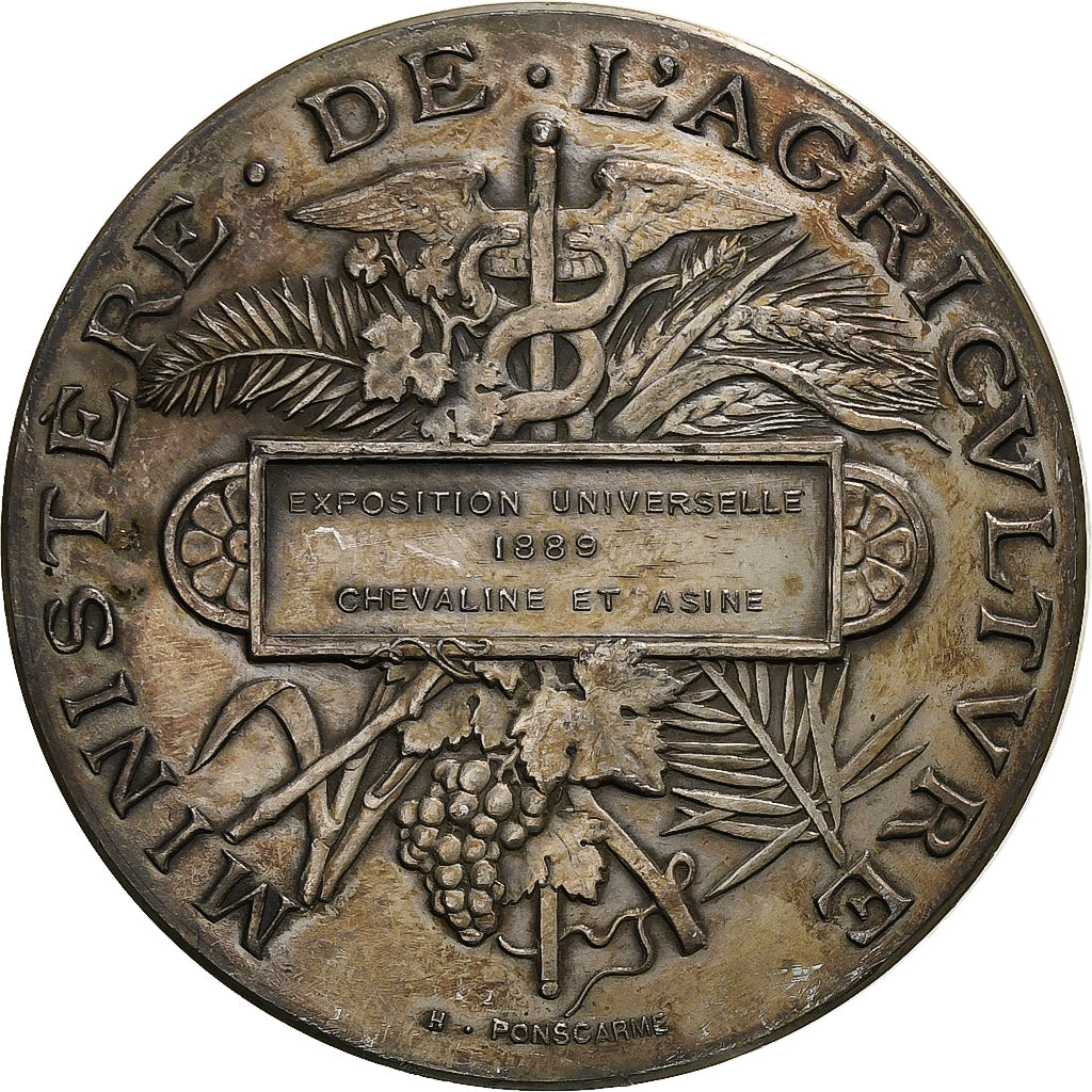 Francia, medalla, Exposition Universelle, Chevaline et Asine, 1889, Plata