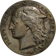 France, Medal, Exposition Universelle, Chevaline et Asine, 1889, Silver