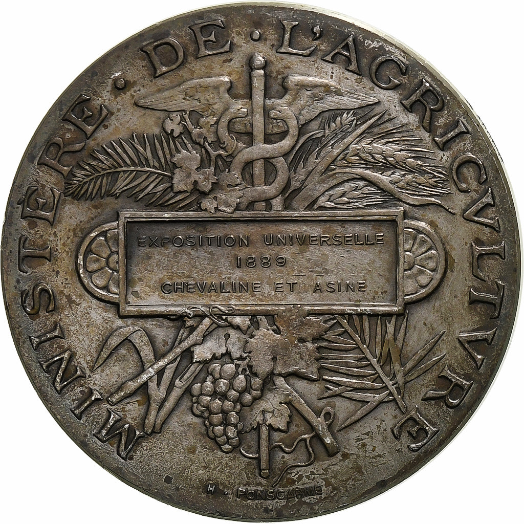 France, Medal, Exposition Universelle, Chevaline et Asine, 1889, Silver