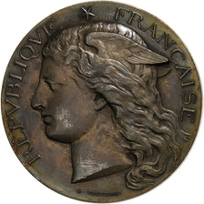 France, Medal, Concours Régional Hippique d'Angoulême, 1885, Silver
