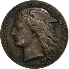 France, Médaille, Concours Régional Hippique d'Angoulême, 1893, Argent