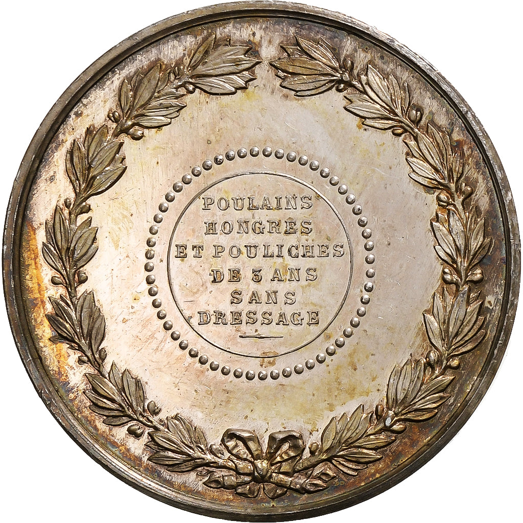 France, Medal, Société Hippique Française, Concours Ouest-Nantes, 1885