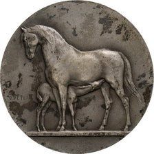 France, Medal, Concours Central Hippique de Paris, 1931, Silver, V. Peter