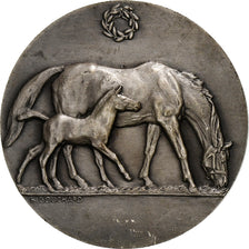 França, medalha, Concours Central Hippique de Paris, 1938, Prata, Bouchard