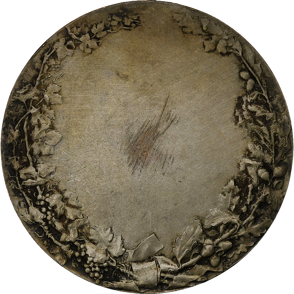 France, Medal, Société des agriculteurs de France, Silvered bronze, Pillet