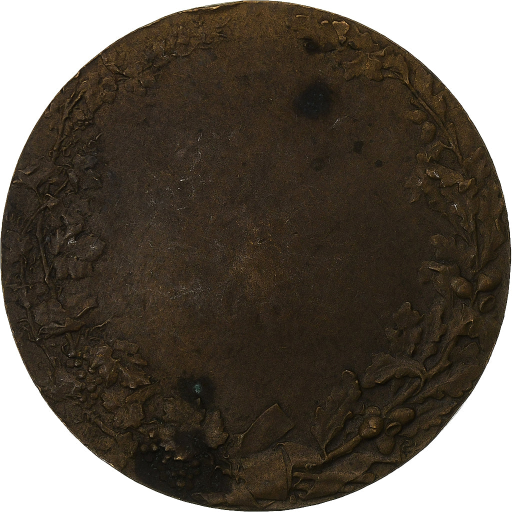 Frankreich, Medaille, Société des agriculteurs de France, Bronze, Pillet, SS