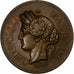 Frankreich, Medaille, Prix, Récompense, 1891, Bronze, Oudiné, VZ