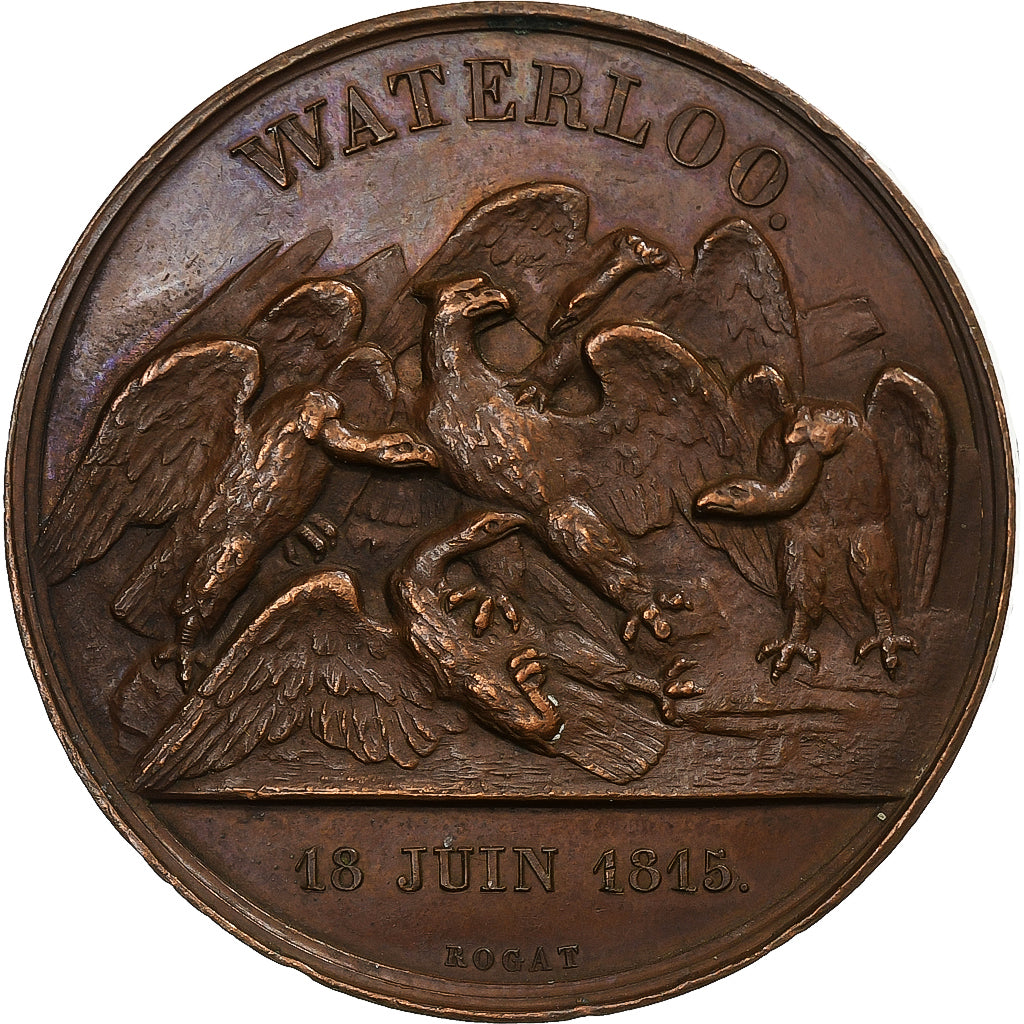 France, Medal, Napoléon Bonaparte, Bataille de Waterloo, 1815, Bronze, Rogat