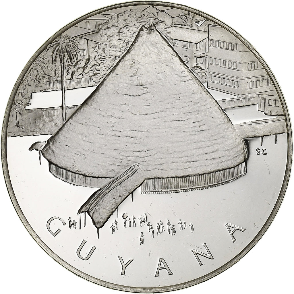 Francia, medaglia, Nations Unies, Guyana, Argento, SPL+