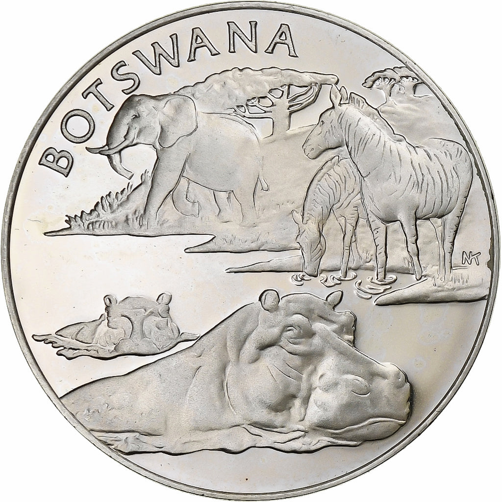 Francia, medaglia, Nations Unies, Botswana, Argento, SPL+