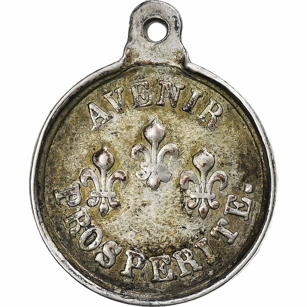 Frankreich, Medaille, Henri V, Avenir, Prospérité, Silvered bronze, SS