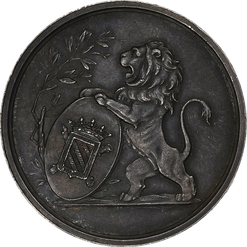 Belgium, Medal, Académie des Sciences et des Lettres, Silver, J.Leclercq