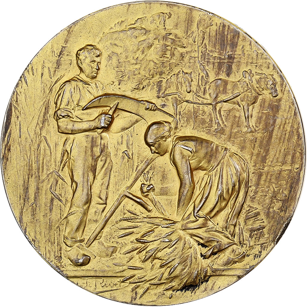 Frankreich, Medaille, Comice Agricole de Damville, Eure, Vermeil, Rivet, VZ