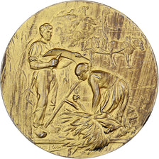 Frankreich, Medaille, Comice Agricole de Damville, Eure, Vermeil, Rivet, VZ