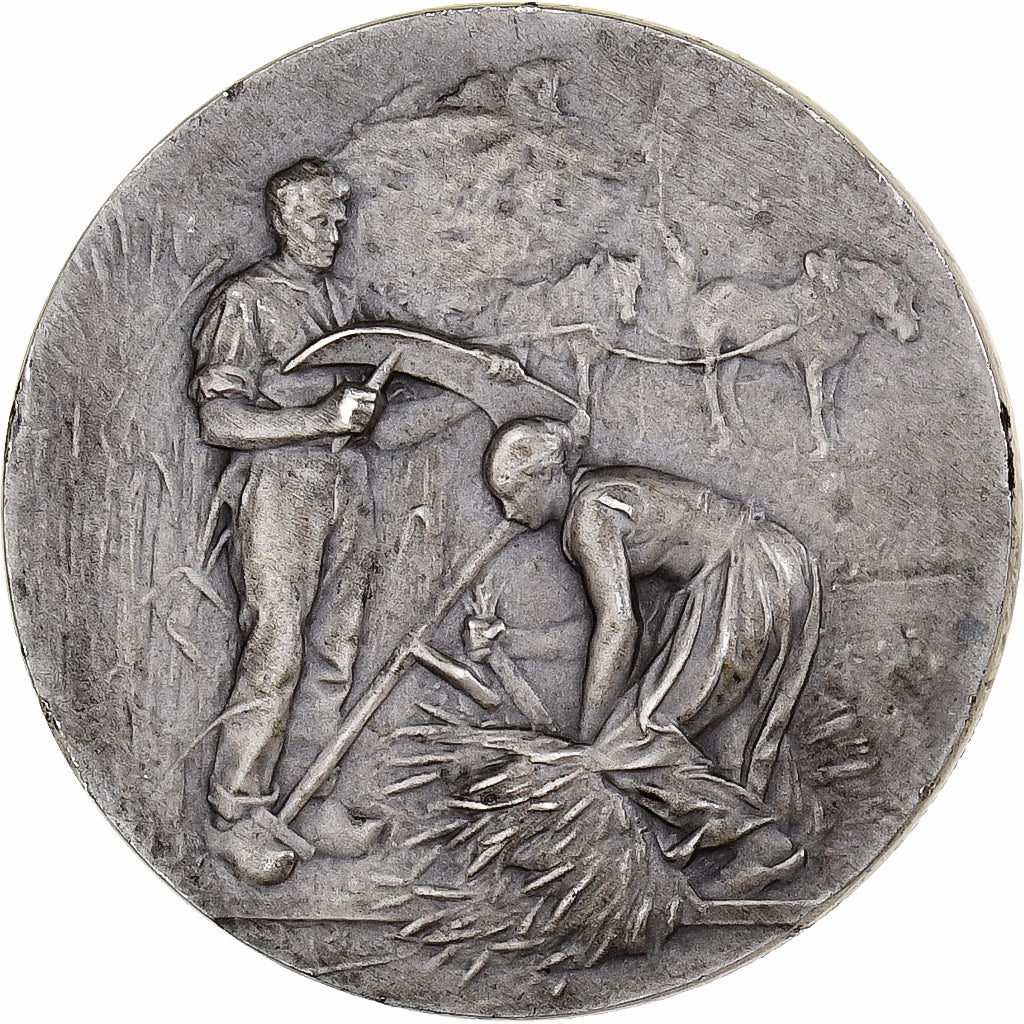 France, Medal, Comice Agricole de Damville, Eure, Silver, Rivet, AU(55-58)