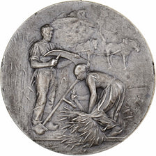 France, Medal, Comice Agricole de Damville, Eure, Silver, Rivet, AU(55-58)