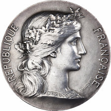 Francia, medaglia, Offert par M. Leblond, Sénateur, 1925, Argento, Dupuis.D
