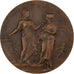 Francia, medaglia, Viticulture, 1910, Bronzo, Alphée Dubois, SPL-