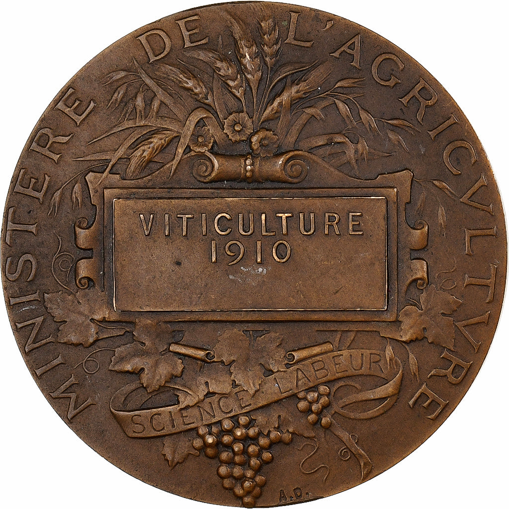 Francia, medaglia, Viticulture, 1910, Bronzo, Alphée Dubois, SPL-
