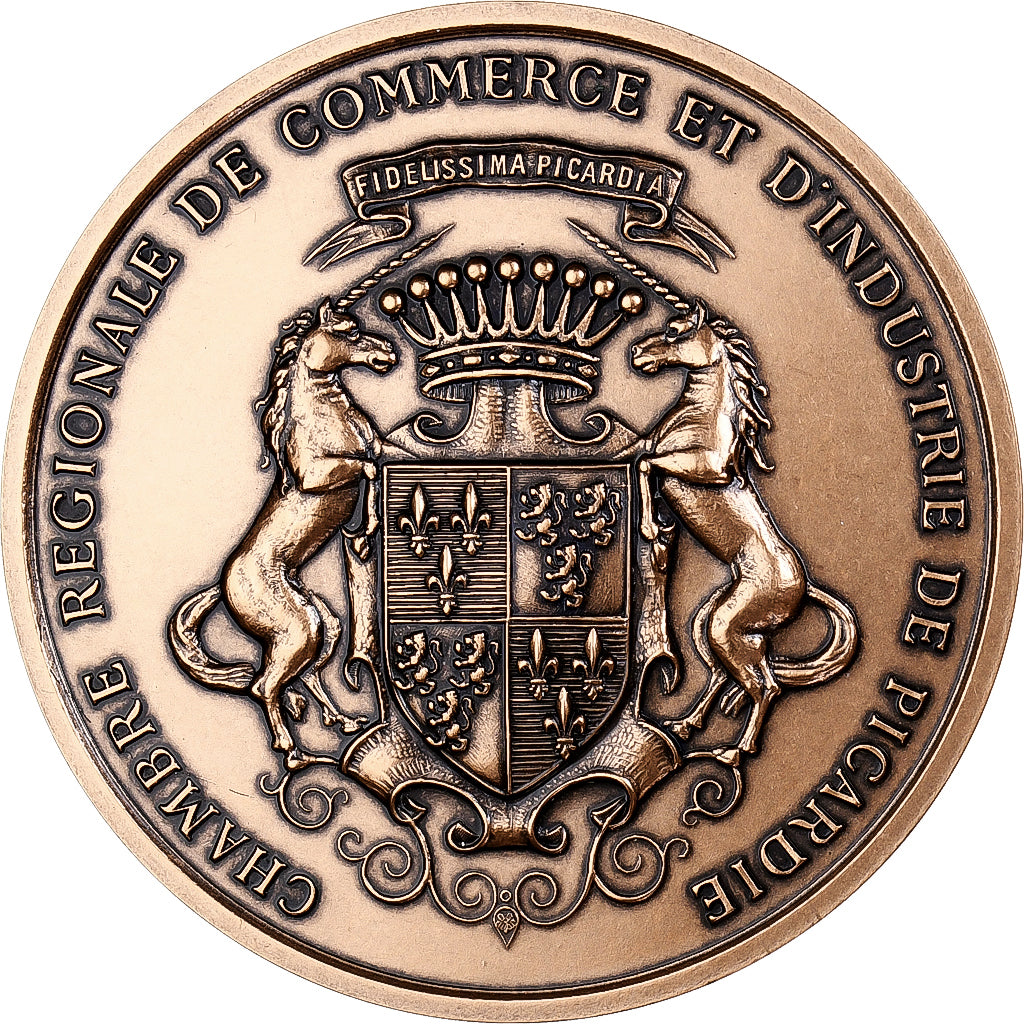Francia, medaglia, Chambre de Commerce et d'industrie de Picardie, 2003, Bronzo