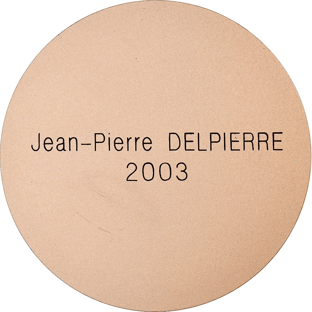 Francia, medaglia, Chambre de Commerce et d'industrie de Picardie, 2003, Bronzo