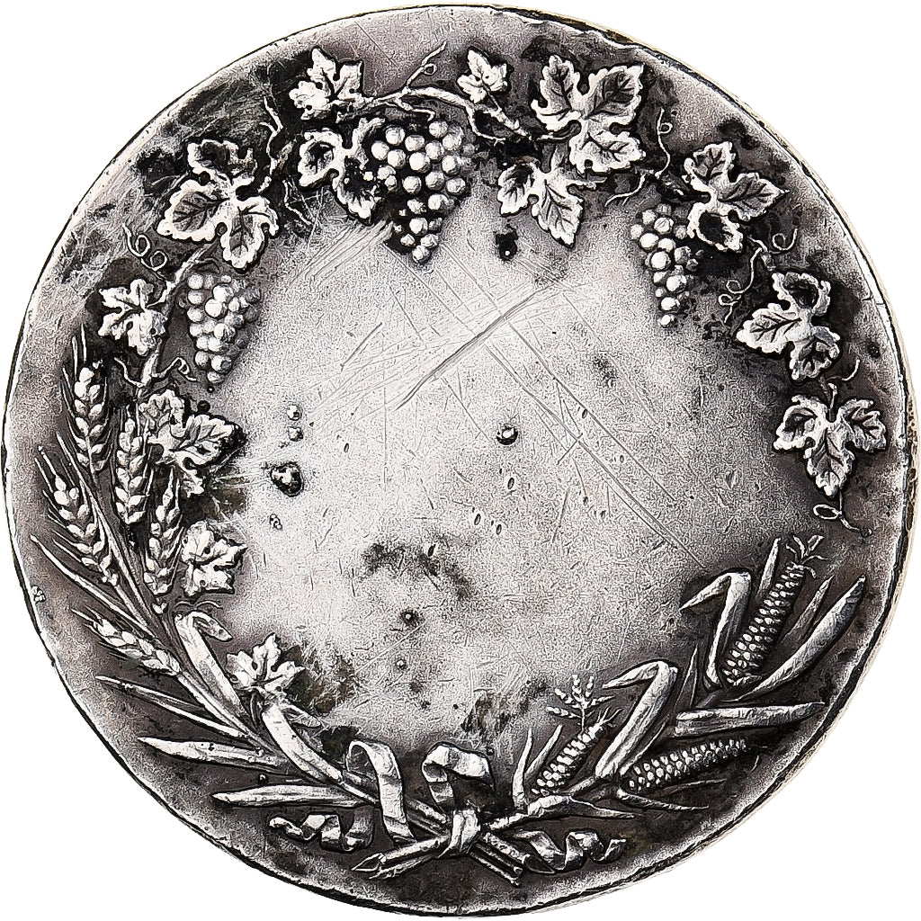 France, Medal, Société Nationale d'encouragement à l'agriculture, Silver