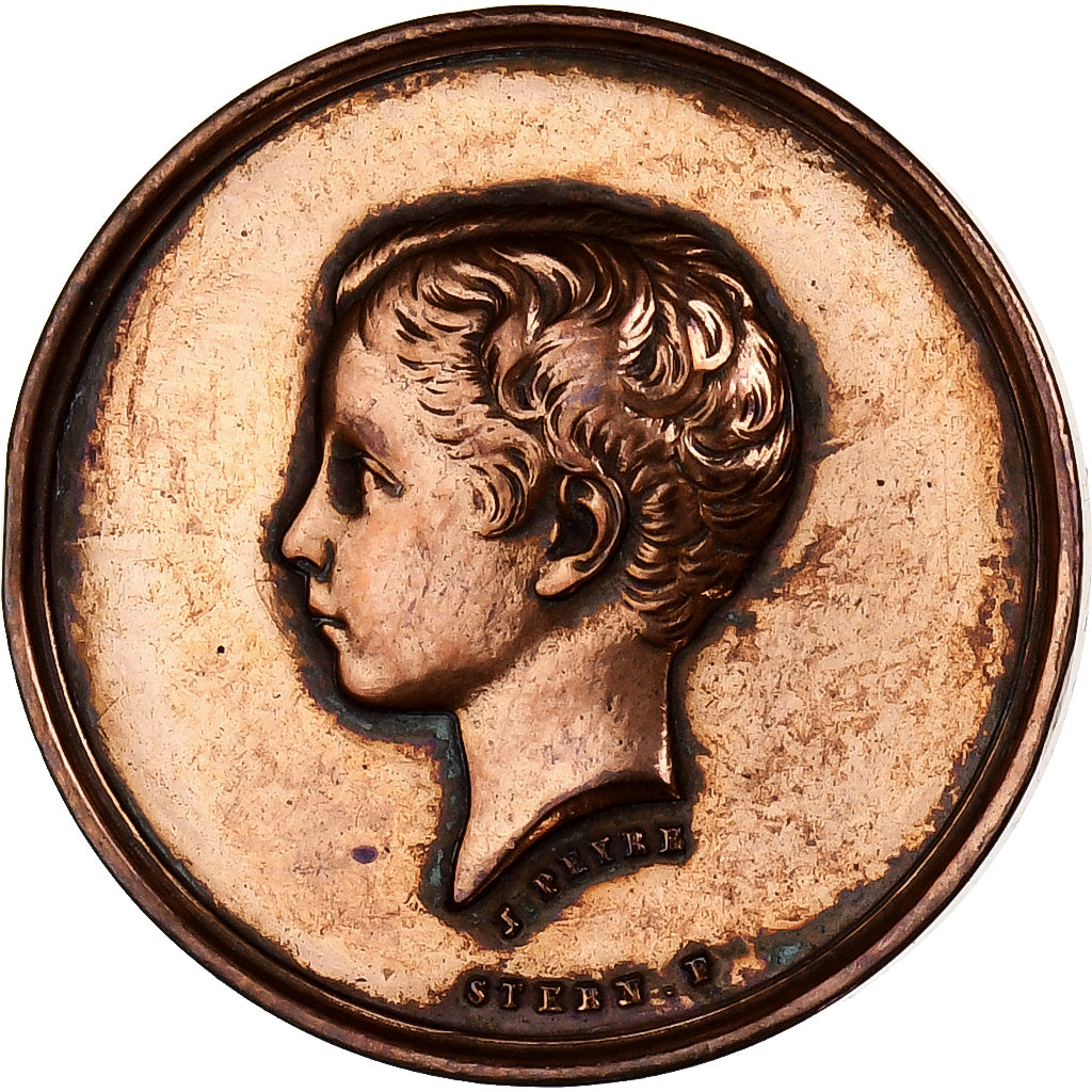 Frankreich, Medaille, Napoléon IV, Société du Prince Impérial, Enfance au