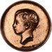 Frankreich, Medaille, Napoléon IV, Société du Prince Impérial, Enfance au